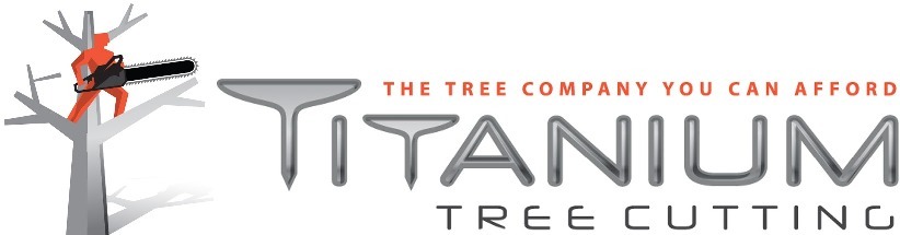Titanium Tree Cutting Shares Expert Winter Tree Pruning and Care Advice for Michigan Homeowners
