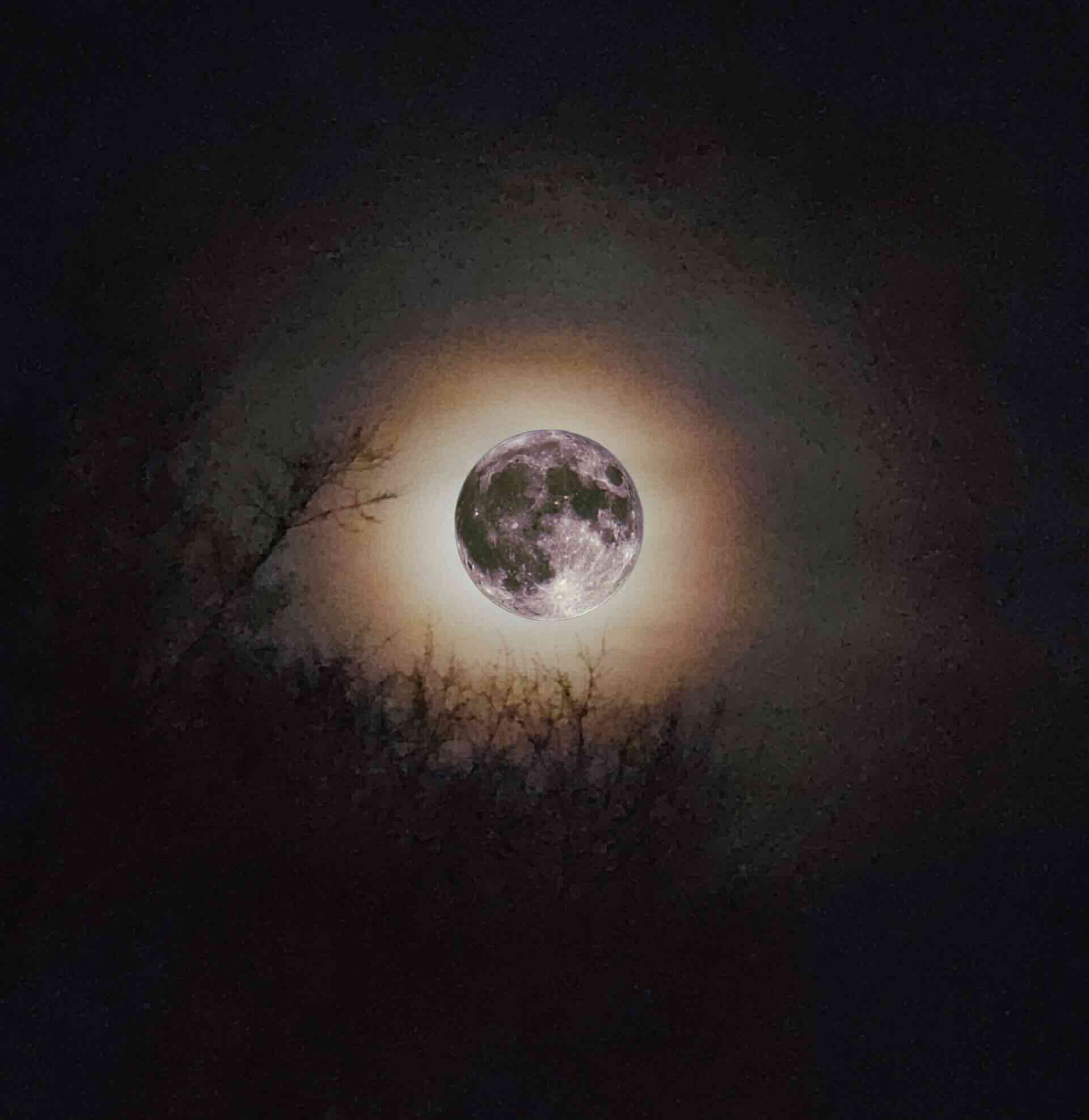 Chris Williams & Kid Reverie Share “Strawberry Moon,” a Folk Single Where Memory Does the Talking