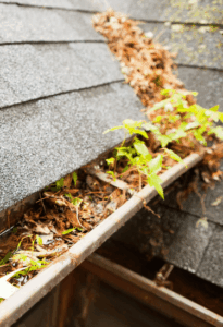 Bailey Boys Services Expands Professional Gutter Cleaning Solutions for Seasonal Home Protection